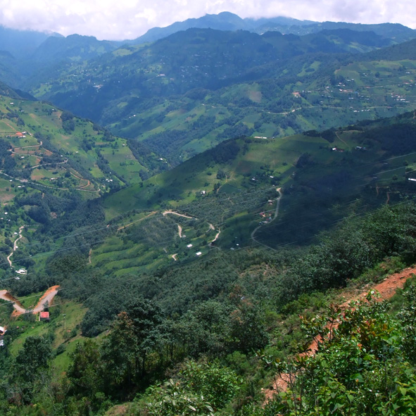 Sierra de Huautla
